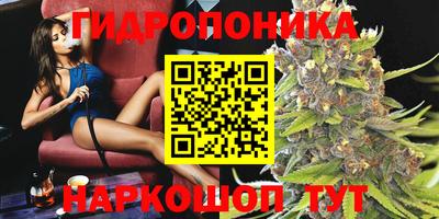 МДПВ Краснознаменск