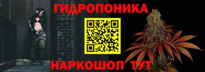 МДПВ Краснознаменск
